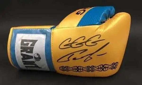 боксерские перчатки GGG