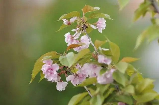 Прогноз погоды