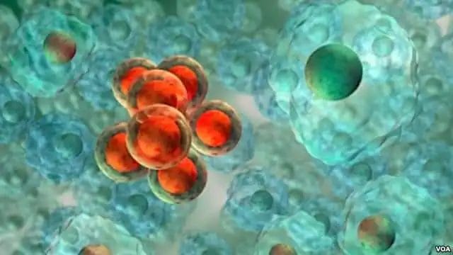 Симптомы рака