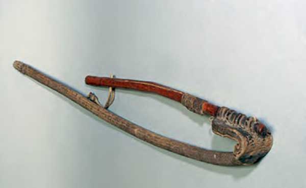 Дойыр камшы