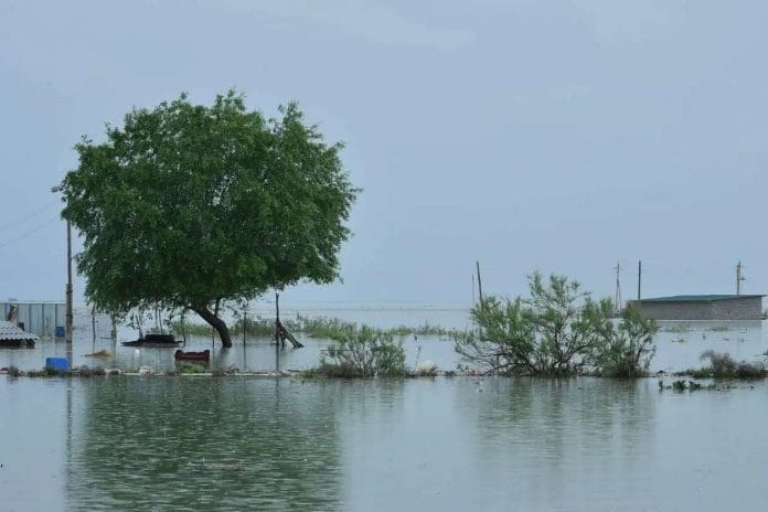 Мактааралский район