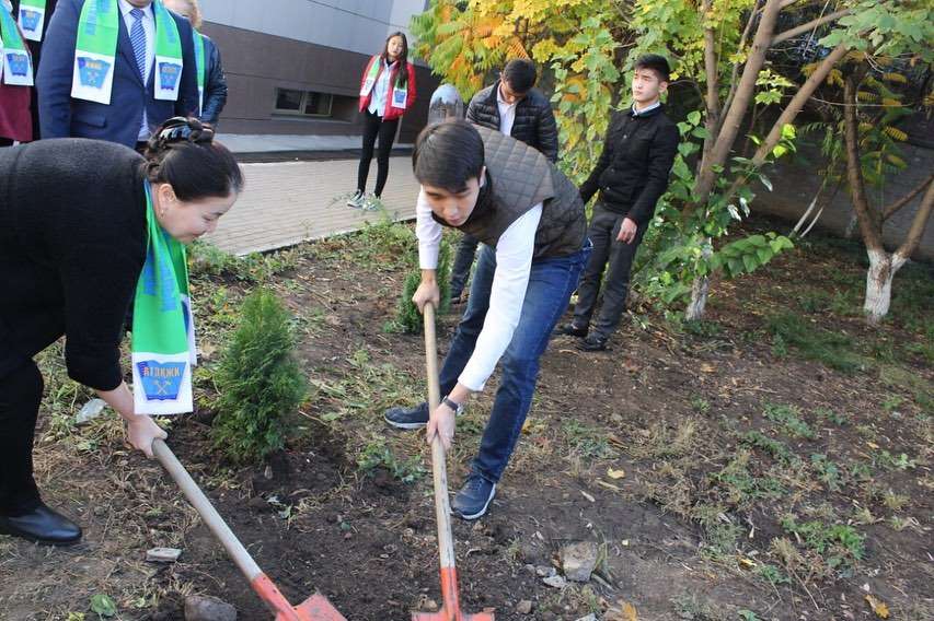 Алматы. посадка деревьев