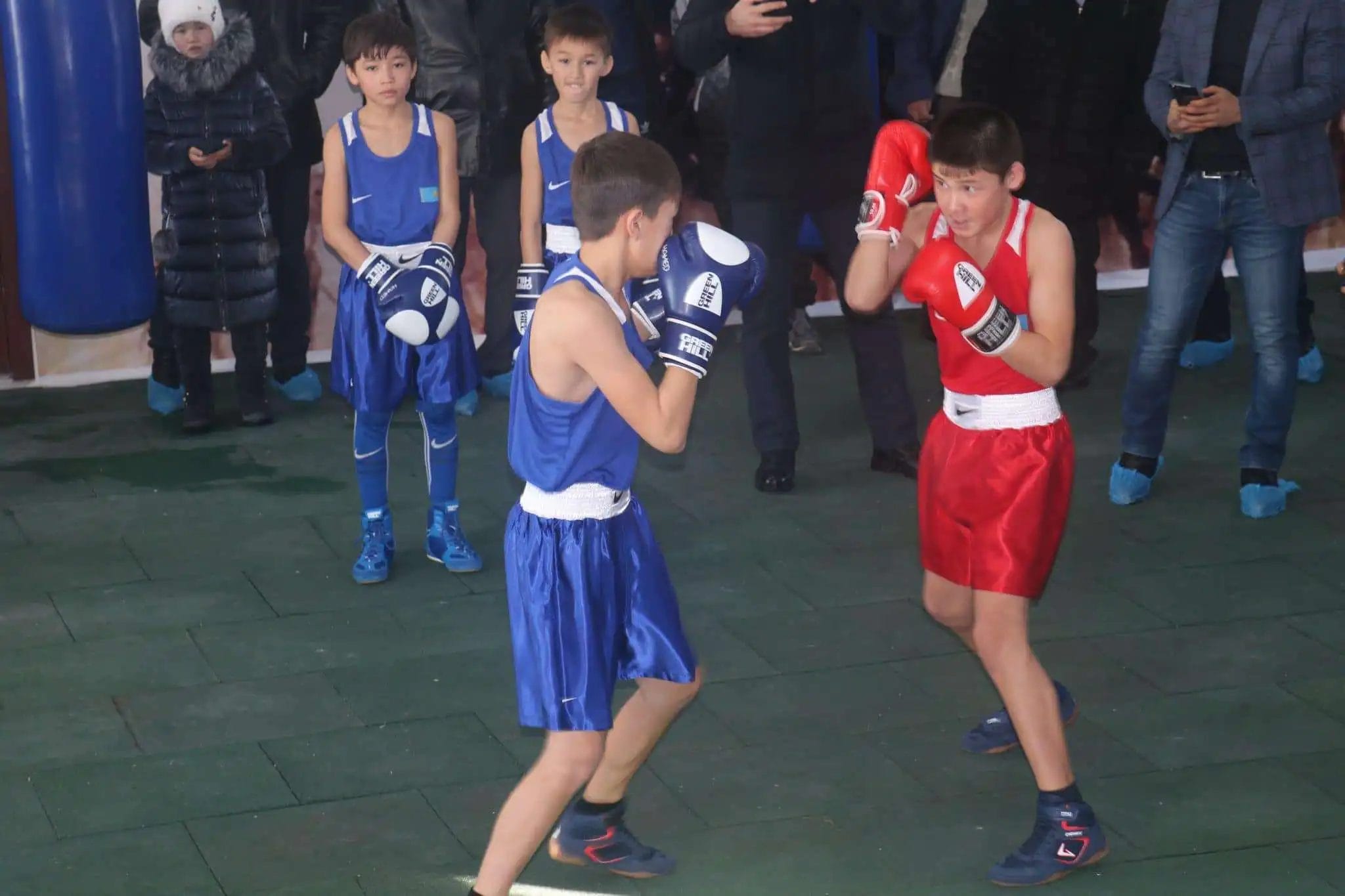 Спорт, Бокс, ЗКО