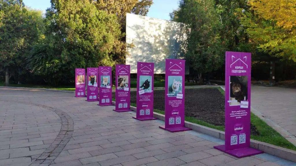 Годовой запас корма от Whiskas: в Алматы прошла акция для любителей кошек