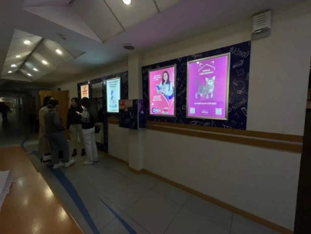 Годовой запас корма от Whiskas: в Алматы прошла акция для любителей кошек