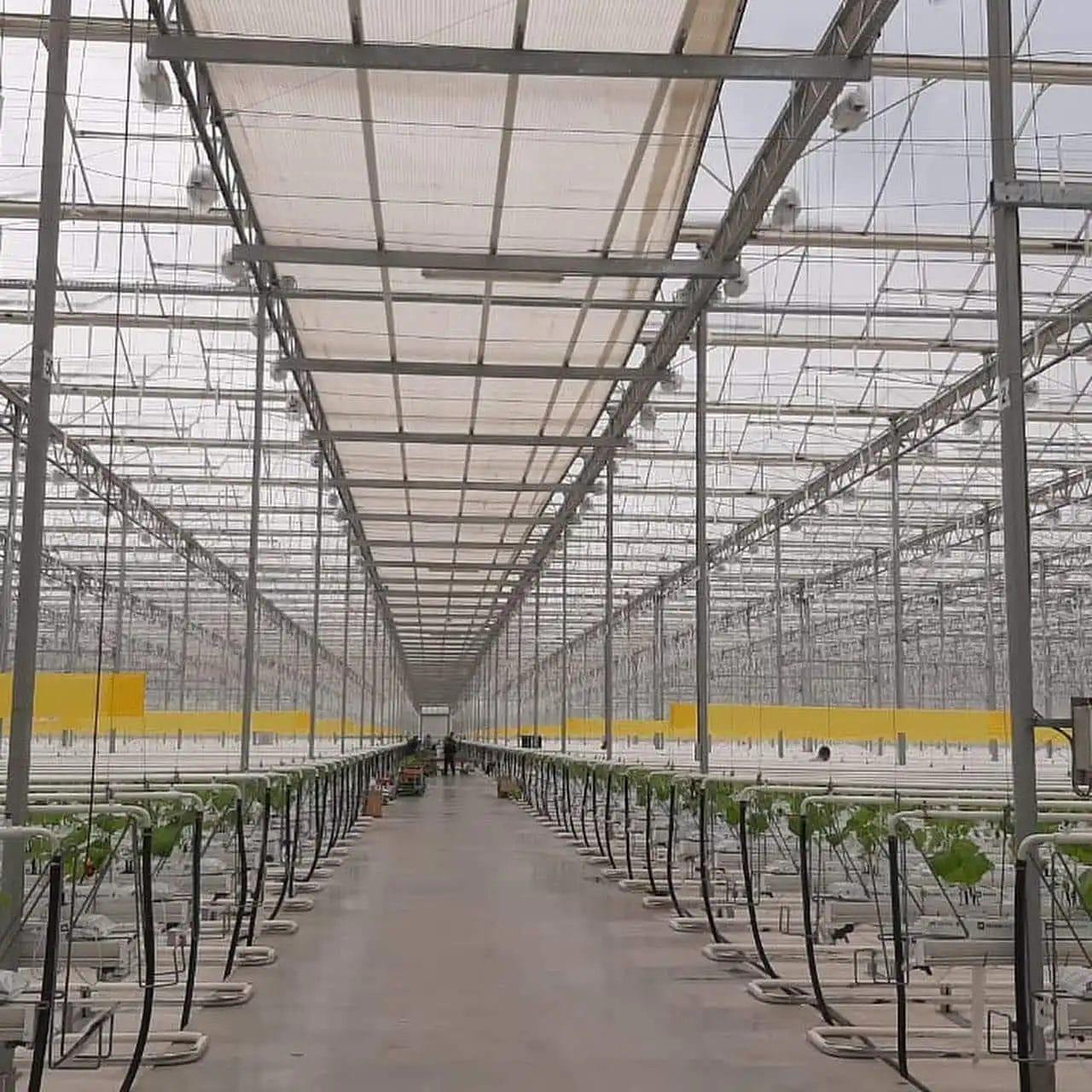 ЗКО: Сенаторы ознакомились с проблемами АПК