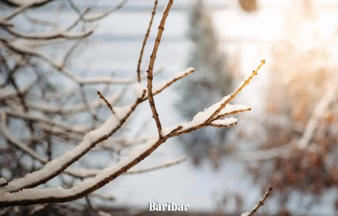 погода, снег